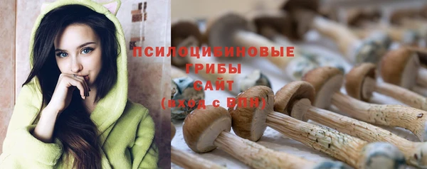 кокаин премиум Богородицк