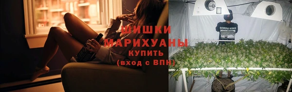 apvp Богданович