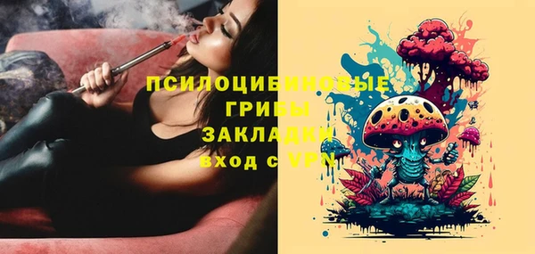apvp Богданович