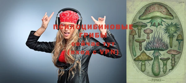 apvp Богданович